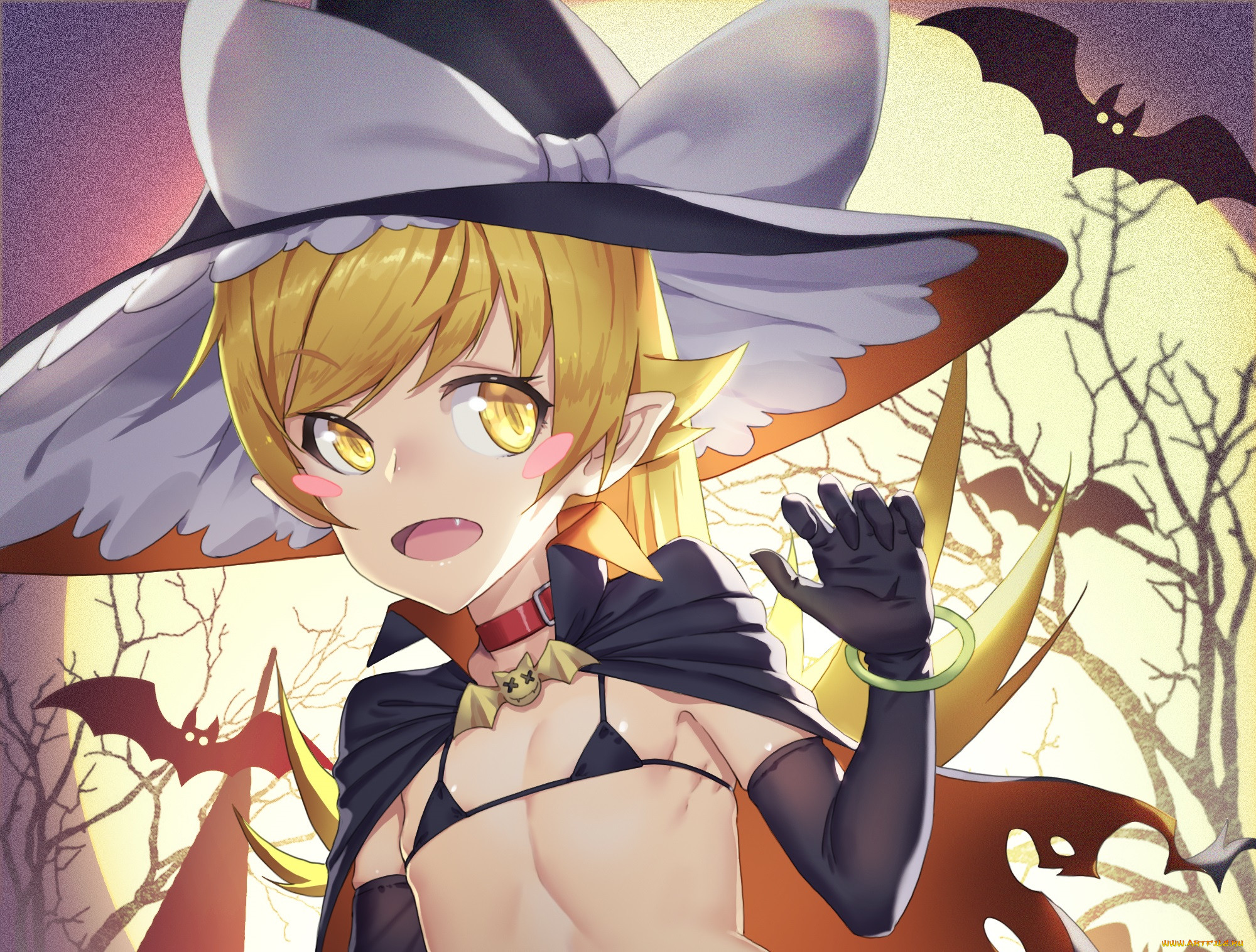 , bakemonogatari, oshino, shinobu